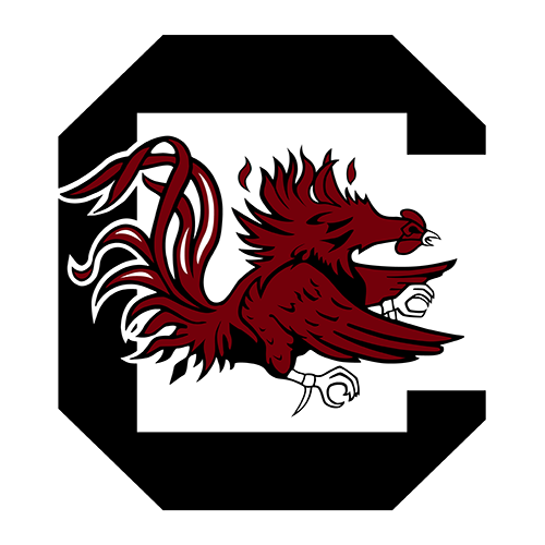 South Carolina Gamecocks