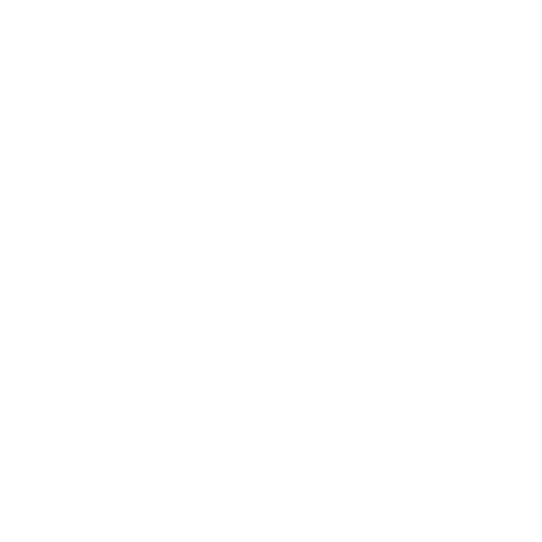 Tennessee Volunteers