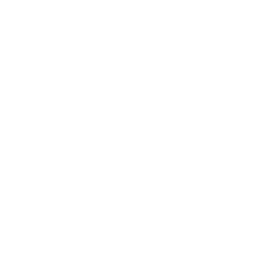 Texas Longhorns