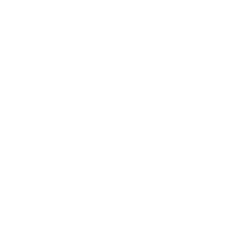 West Virginia Mountaineers